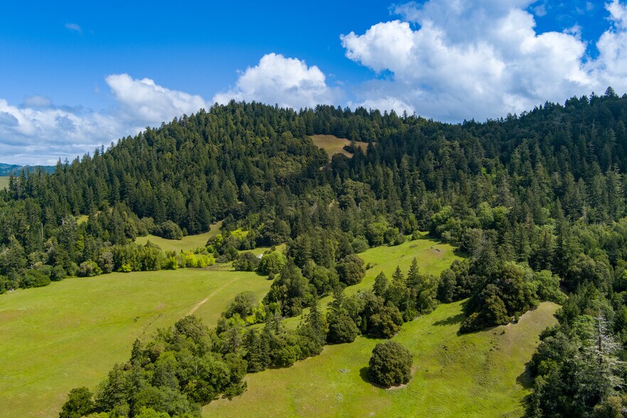Primary Photo Of 00 Reed Mountain Ranch Road, Garberville Land For Sale