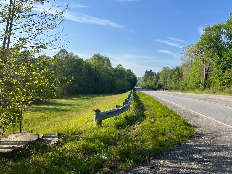 More Photos Of 3766 N Hwy 441, Mountain City Land For Sale