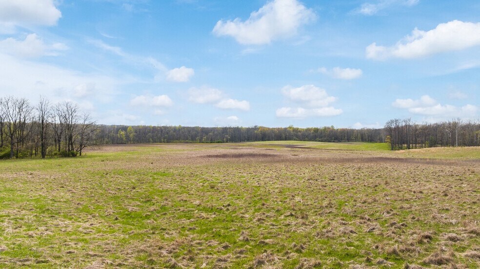 More Photos Of 17286 Ridge Rd, North Royalton Land For Sale