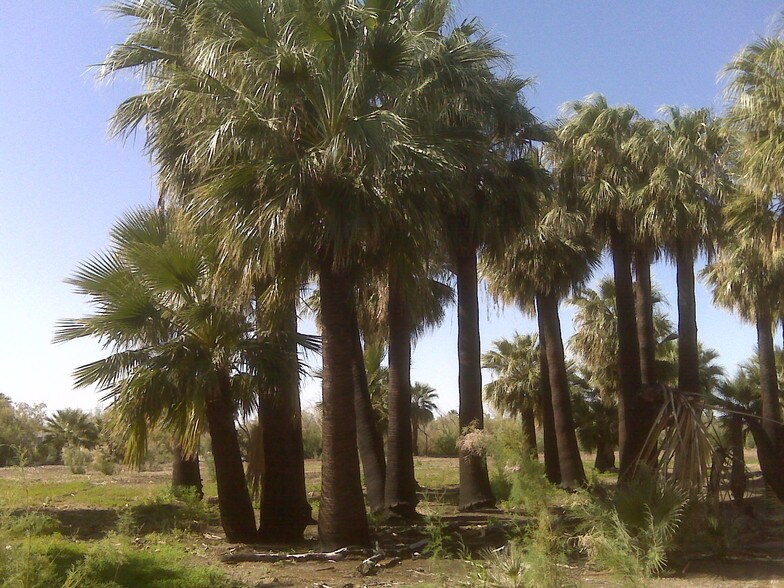 More Photos Of 7945 Luna Rd, Niland Land For Lease