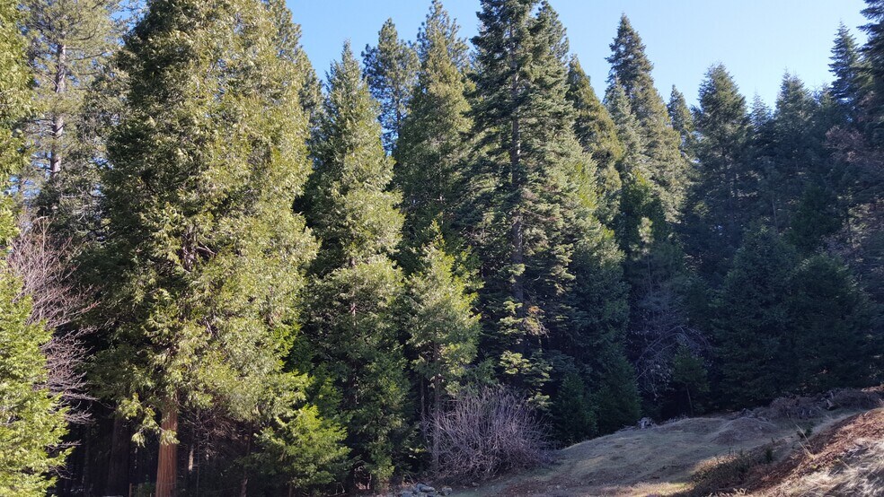 Primary Photo Of Winding Way, Grizzly Flats Land For Sale