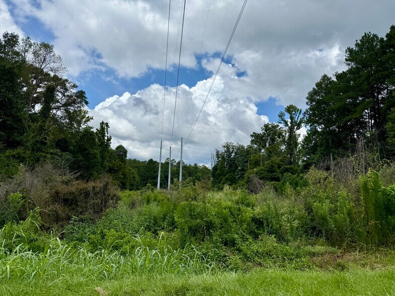 Primary Photo Of 2194 MS-570, Summit Land For Sale