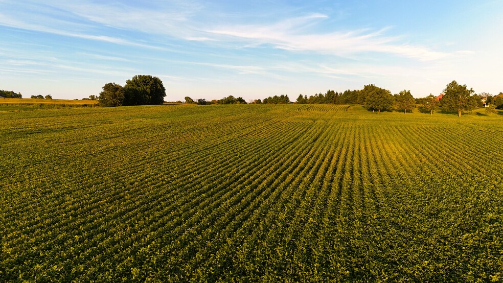 Primary Photo Of 0 Rock Creek Drive, Maxwell Land For Sale