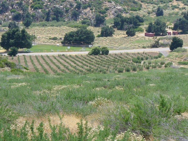 More Photos Of 0 San Felipe Rd, Warner Springs Land For Sale