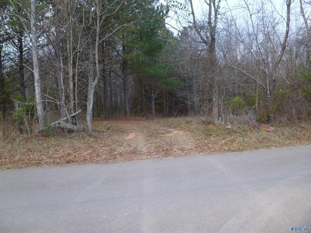 More Photos Of 5900 Martin Ave NE, Fort Payne Land For Sale