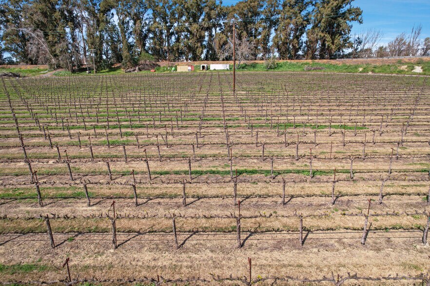 More Photos Of 16550 River Road, Isleton Land For Sale