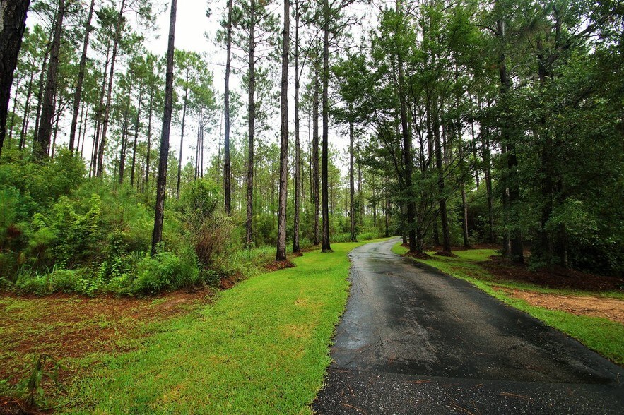 More Photos Of 28551 Roserun Rd, Robertsdale Land For Sale