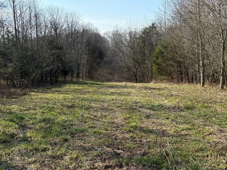 More Photos Of 4604 Summersville Rd, Campbellsville Land For Sale