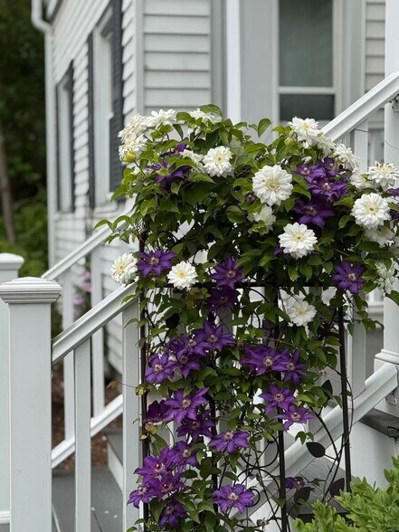 More Photos Of 535 Worcester Rd, Framingham Loft Creative Space For Lease