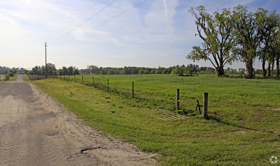 More Photos Of US Hwy 129, Live Oak Land For Sale