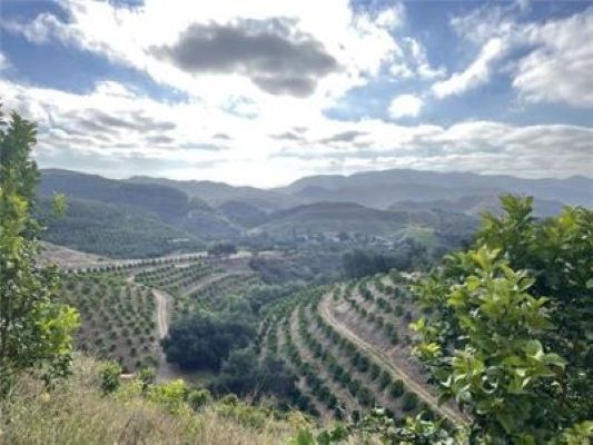 More Photos Of 0 Avenida Tierra, Temecula Land For Sale