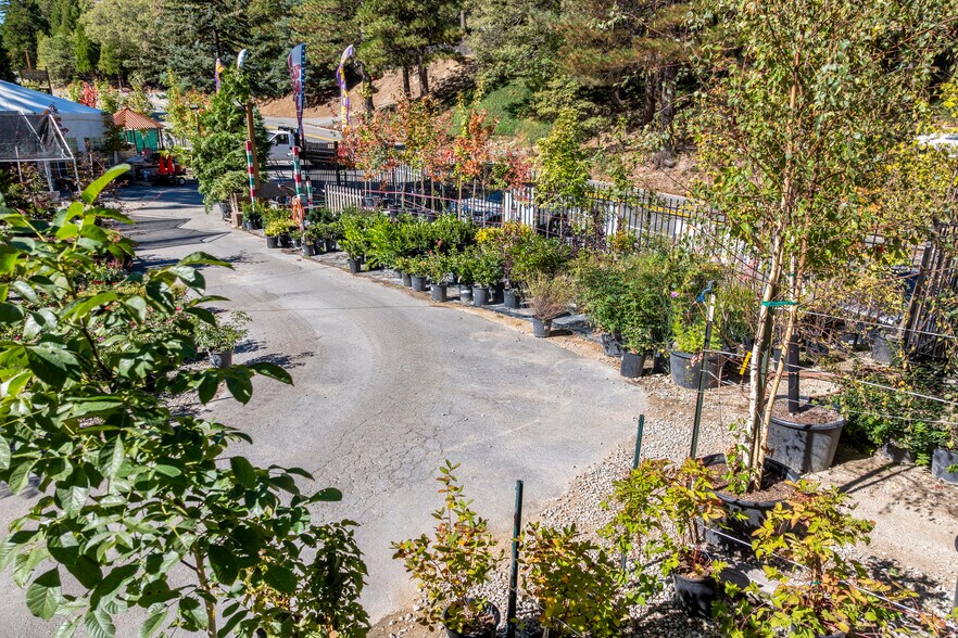 More Photos Of 303 CA-173 Hwy, Lake Arrowhead Garden Center For Sale