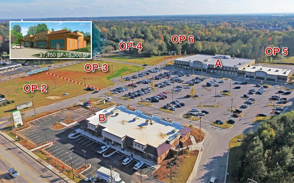 Primary Photo Of 1250 Chapin Rd, Chapin Land For Lease