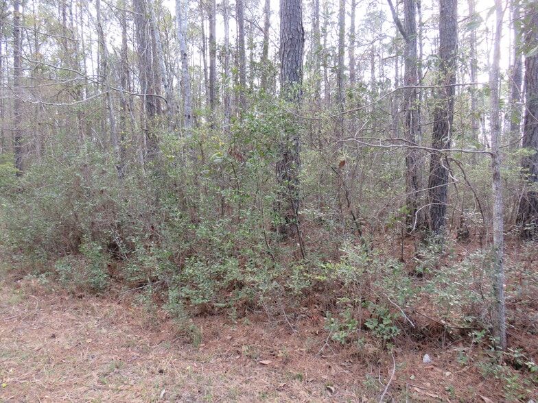 More Photos Of T.B.D. Finnell Road, Little River Land For Sale
