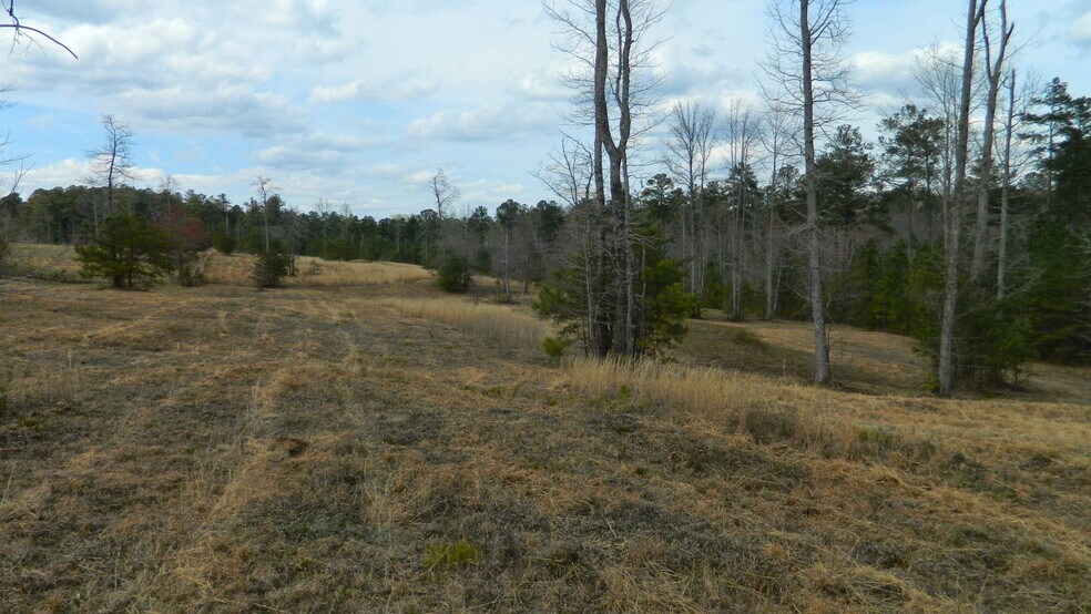 More Photos Of 320 Steve Tate Hwy, Marble Hill Land For Sale