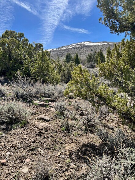 More Photos Of 4387 Sharps Rd, Reno Land For Sale