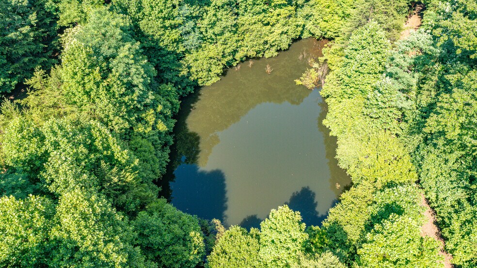 More Photos Of Mountain Cove Estates Rd, Cherry Log Land For Sale