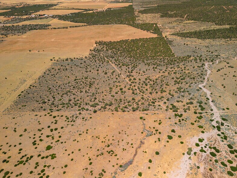 More Photos Of E Old Hwy 144, New Harmony Land For Sale