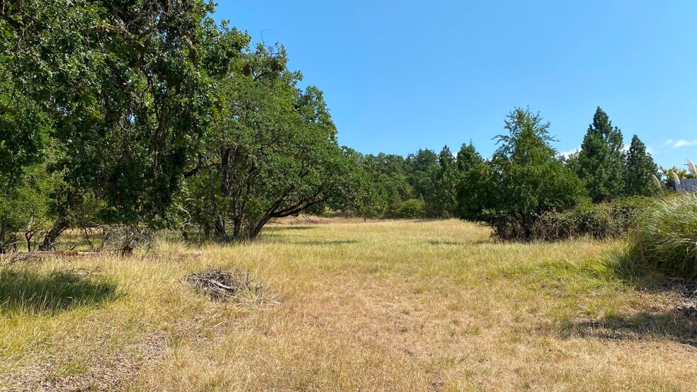 More Photos Of 1219 Junker, Roseburg Land For Sale
