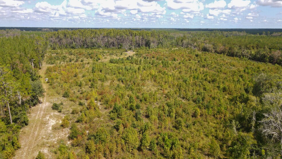 More Photos Of TBD NE 36th Drive Dr, Jasper Land For Sale