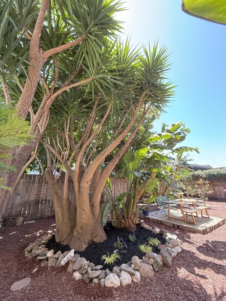 More Photos Of 423-433 S Van Ness Ave, San Francisco Apartments For Sale