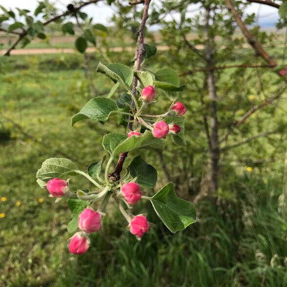 More Photos Of 157 Hergenrider Rd, Bridger Land For Sale