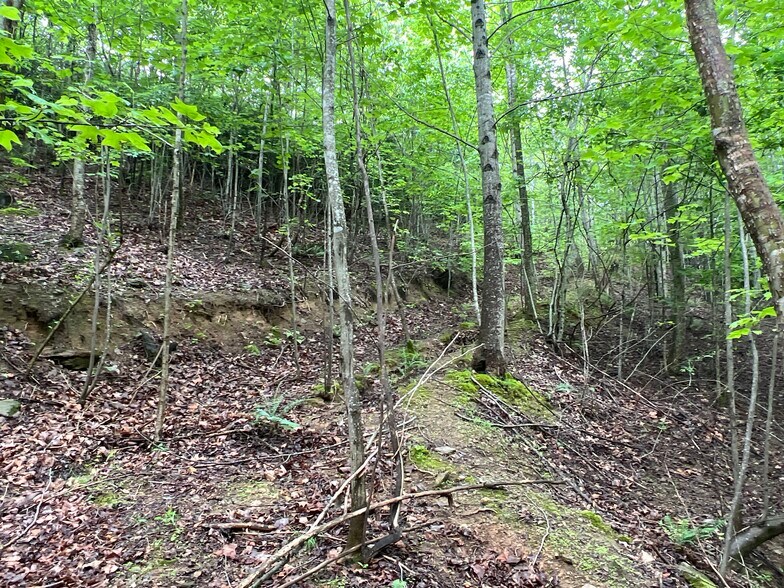 More Photos Of 395 Able rd, Waleska Land For Sale
