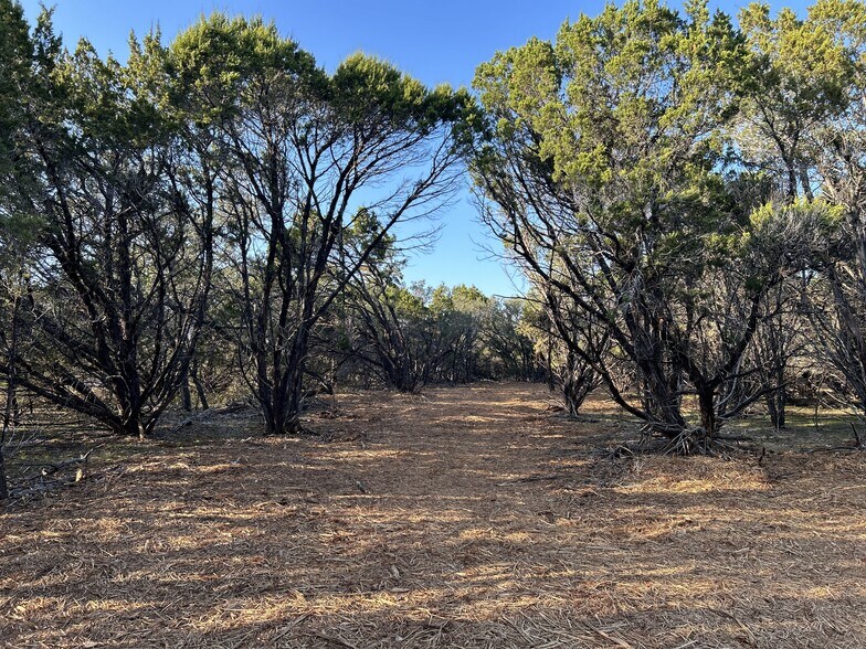 More Photos Of 301 CR 282, Liberty Hill Land For Sale