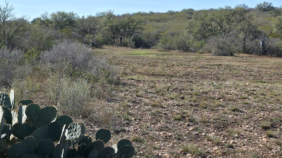 More Photos Of 00 County Road 7563, Devine Land For Sale