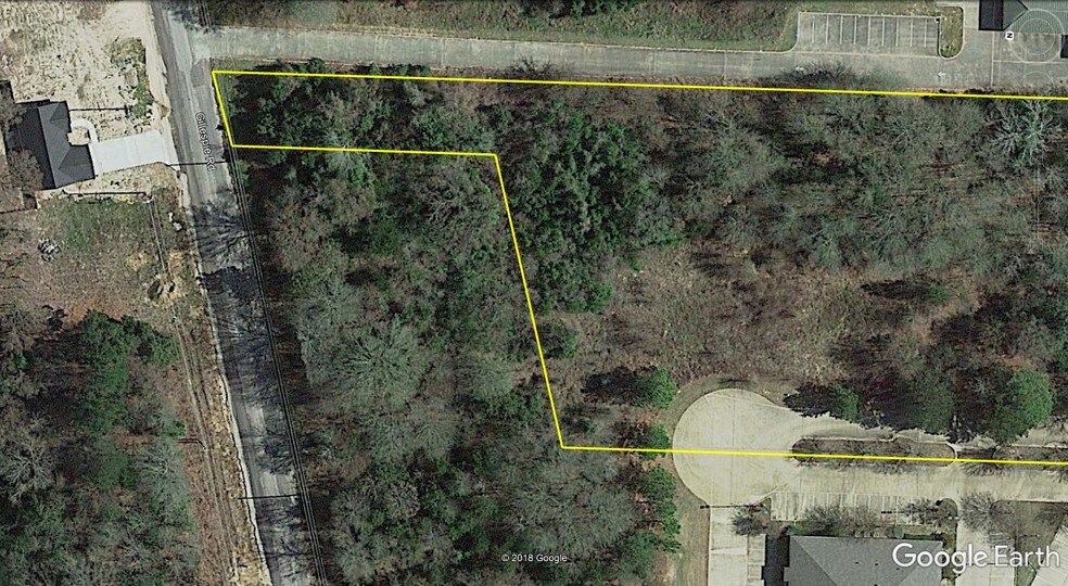 More Photos Of 3315 S Loop 256, Palestine Land For Sale