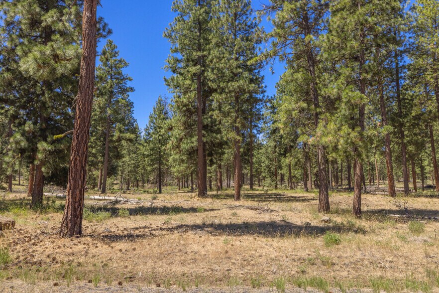 More Photos Of 0 Blue Wing Street, Keno Land For Sale