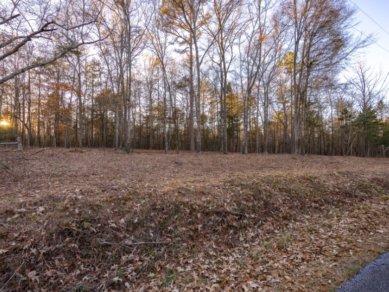More Photos Of 0 Marshall Tucker Rd, Pauline Land For Sale