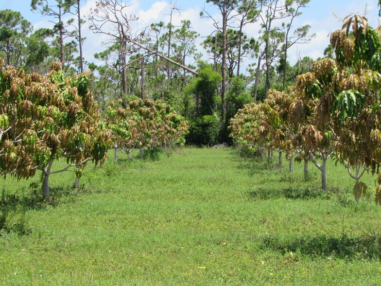 More Photos Of 9000 Stringfellow Rd, Saint James City Land For Sale