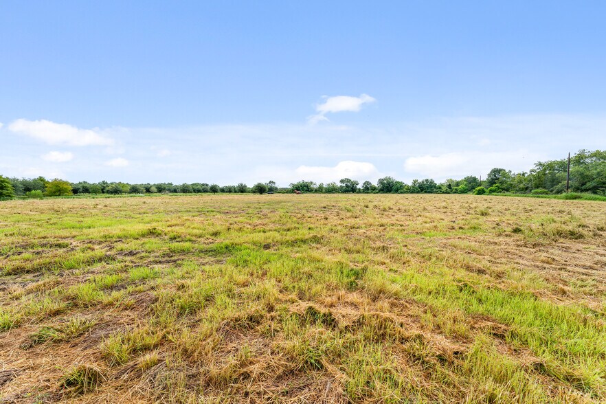 More Photos Of 23111 FM 1462 Rd, Damon Land For Sale