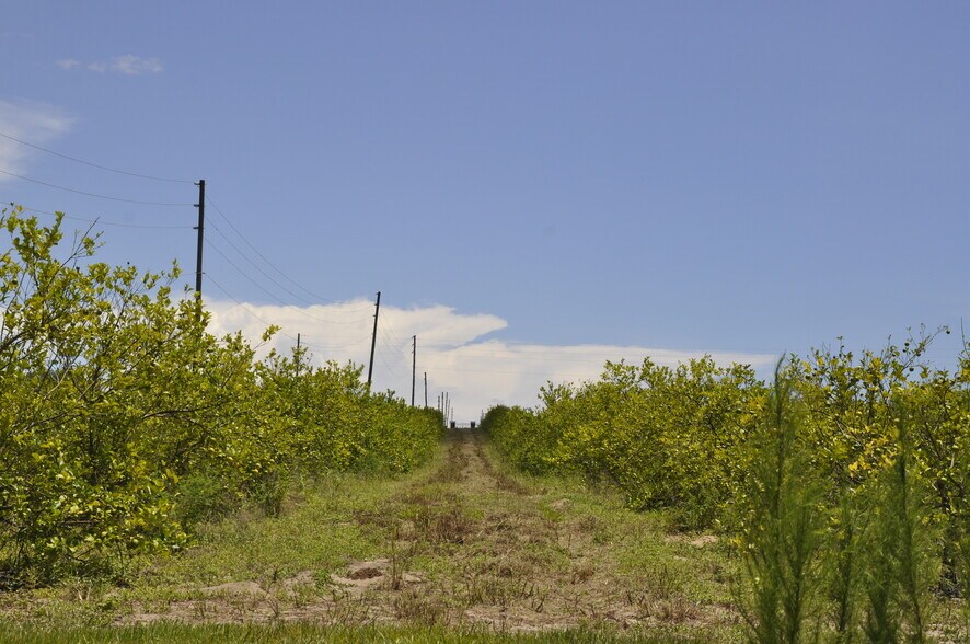 More Photos Of Lake Marie Dr, Dundee Land For Sale