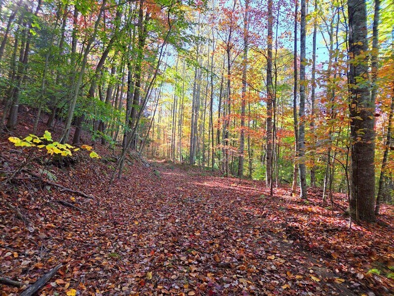 More Photos Of 0 Old Pluto Rd, Shady Spring Land For Sale