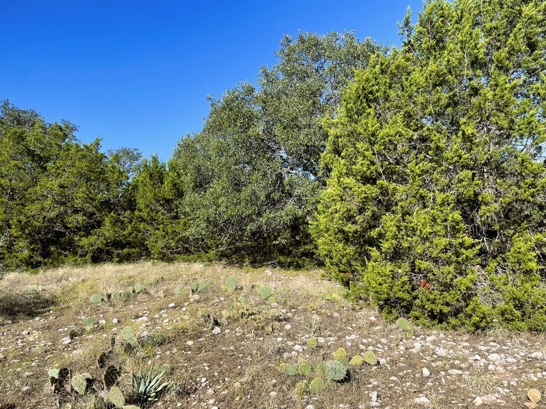 More Photos Of 1276 Farm to Market Road 574, Mullin Land For Sale