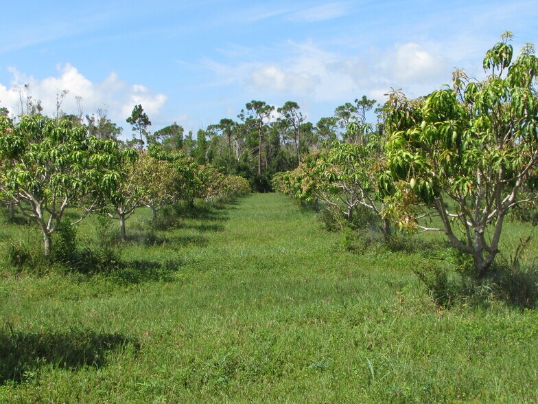 More Photos Of 9000 Stringfellow Rd, Saint James City Land For Sale