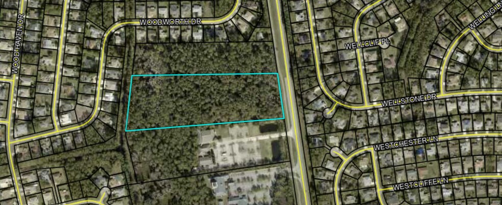 More Photos Of PINE LAKES PKWY, Palm Coast Land For Sale