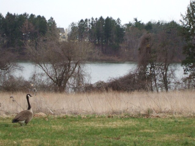 More Photos Of 1250 Wrights Ln, West Chester Office For Sale