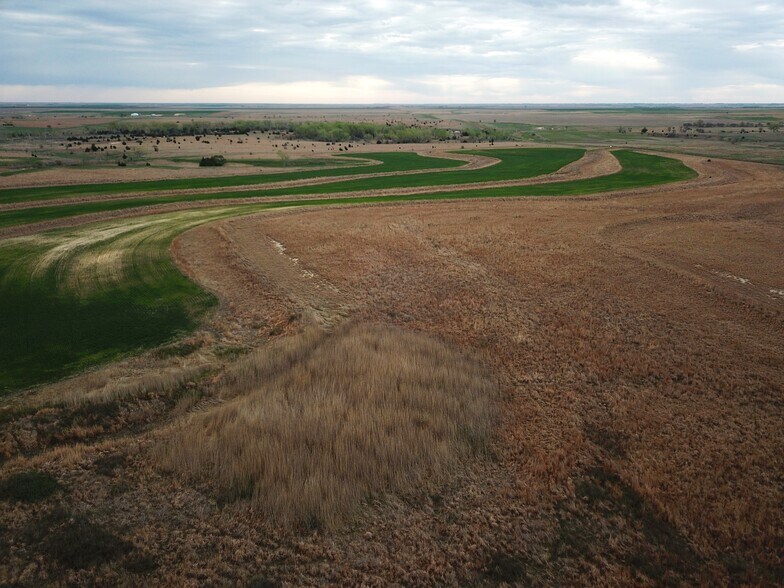 More Photos Of 0 S Rd, Damar Land For Sale
