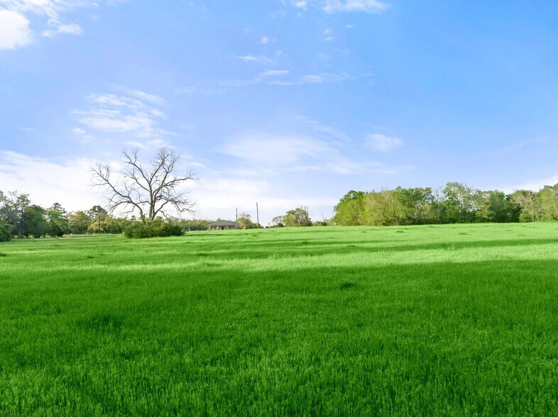 More Photos Of 0000 Farm to Market Road 1488, Magnolia Land For Sale