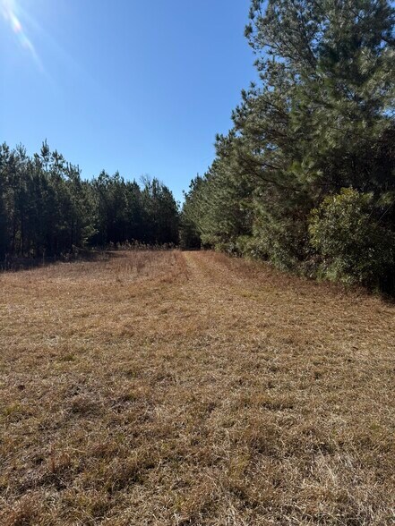 More Photos Of 0 Sniders Hwy, Walterboro Land For Sale