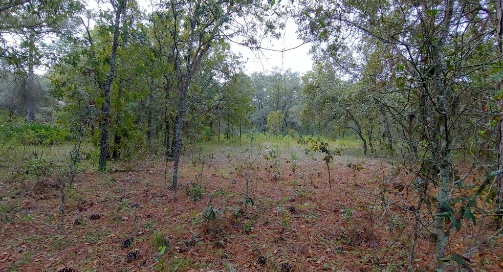 More Photos Of County Line Rd, Spring Hill Land For Sale