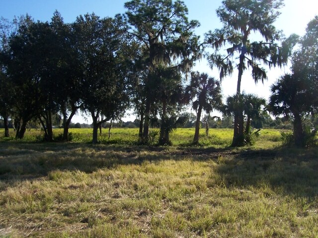 More Photos Of 3402 James L Redman Pky, Plant City Land For Sale