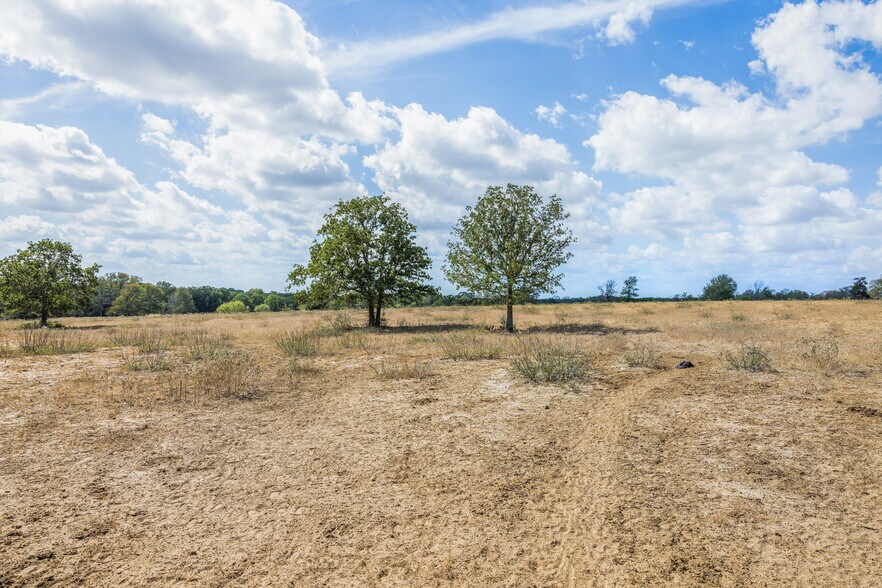 More Photos Of 11915 FM 86, Lockhart Land For Sale