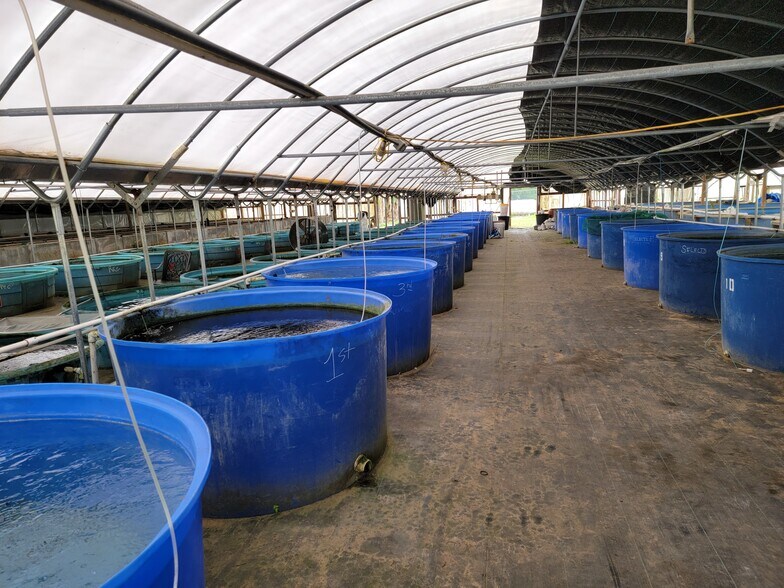 More Photos Of 38935 River Rd., Dade City Land For Sale