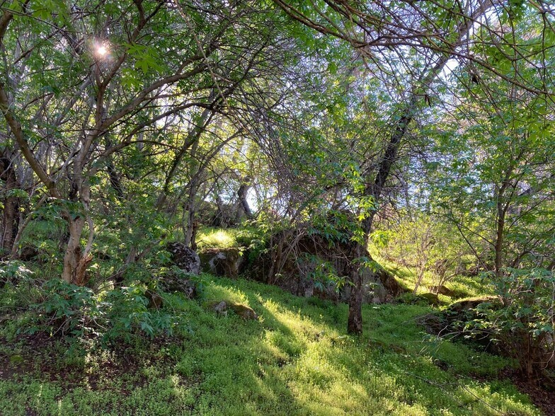 More Photos Of 42975 Sierra Dr, Three Rivers Hotel For Sale