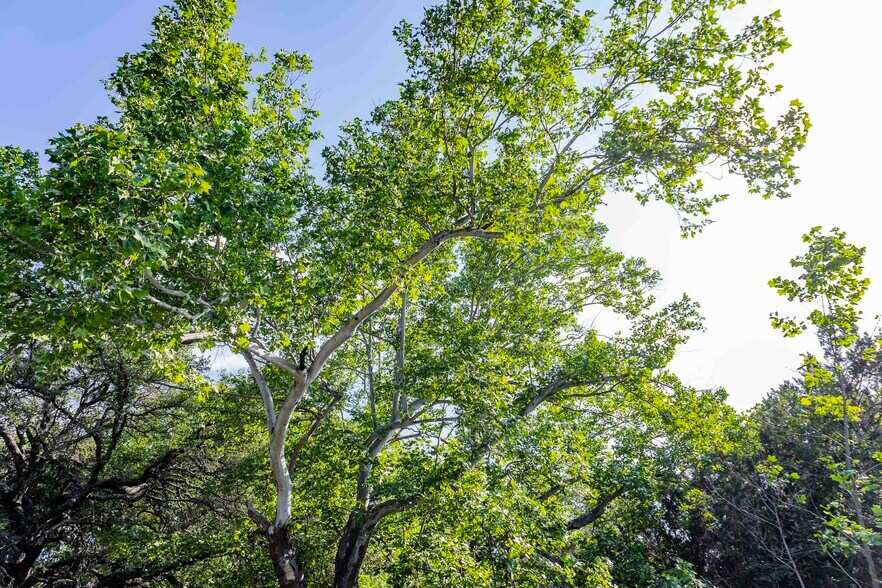 More Photos Of 1397 Mountain Creek Rd, Marble Falls Land For Sale