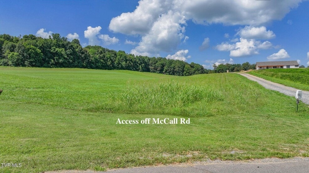 More Photos Of 170 McCall Rd, Limestone Land For Sale